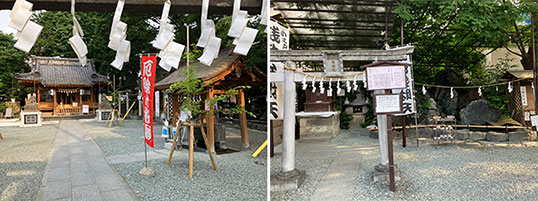 熊野神社の摂未社で厳島神社にございます宝池